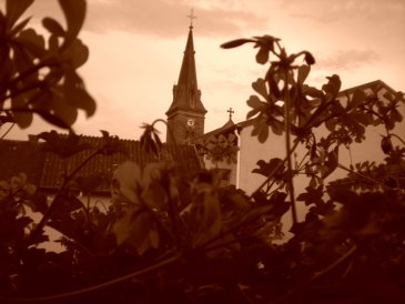 Der anneröder Kirchturm im Blumenrahmen.JPG